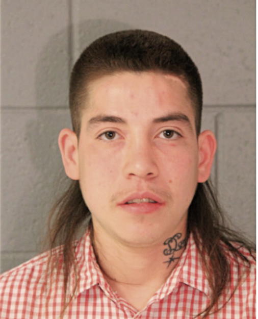 ERIK FLORES, Cook County, Illinois