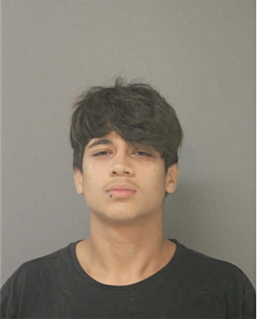ROBERTO M FLORES, Cook County, Illinois