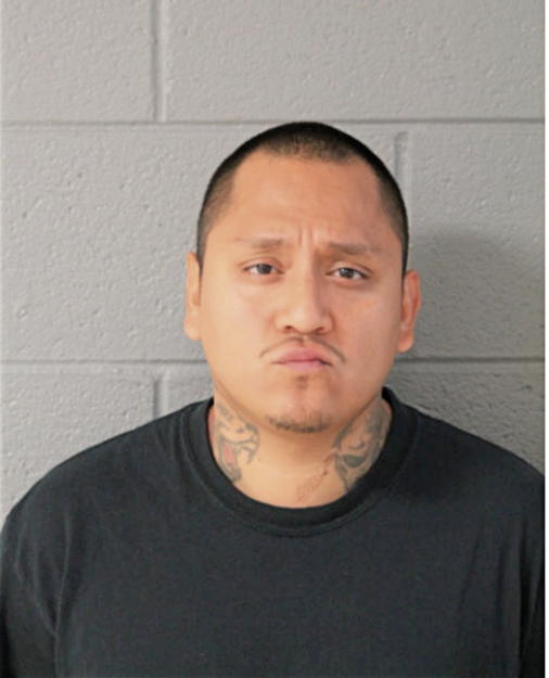 ROBERTO GAMEZ, Cook County, Illinois