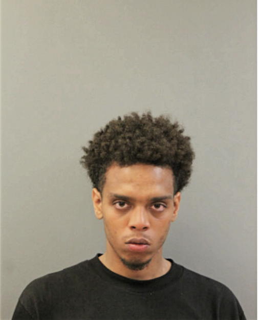 MILES W HAMPTON, Cook County, Illinois