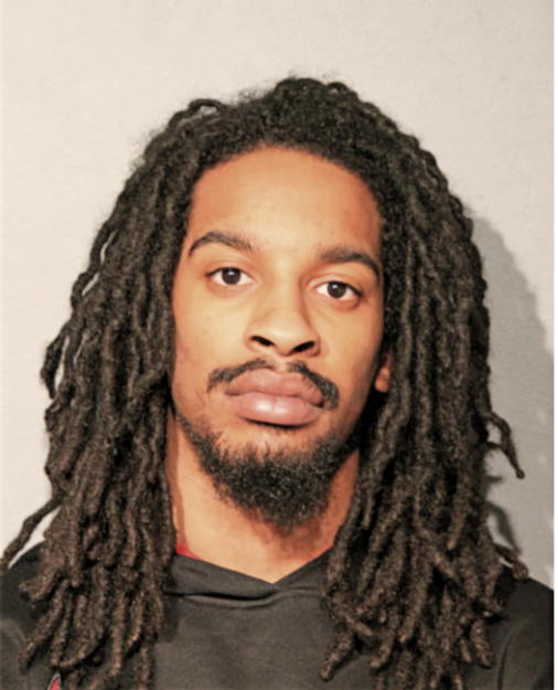 DOMINIQUE D JENKINS, Cook County, Illinois