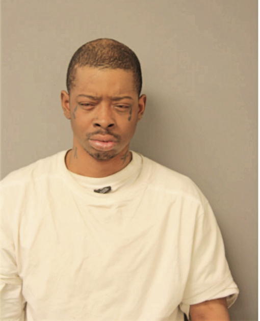 ERIC L JOHNSON, Cook County, Illinois