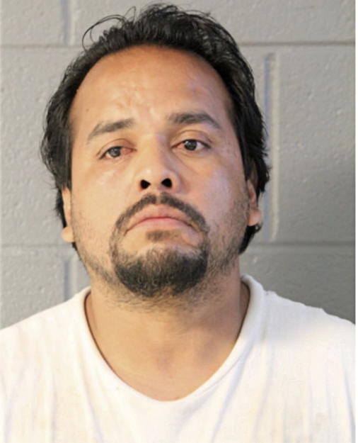 FELIPE R LARA, Cook County, Illinois