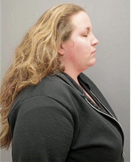 MELISSA R MADDOCK, Cook County, Illinois