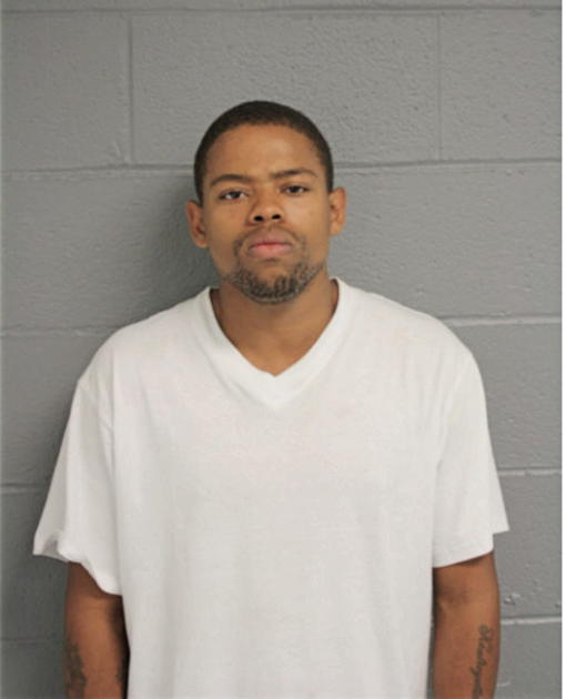 MICHAEL M NELSON, Cook County, Illinois