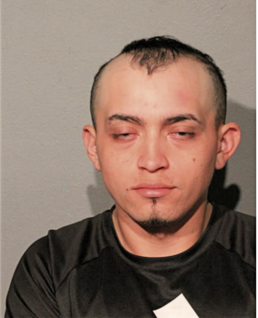 MAURO REYES, Cook County, Illinois