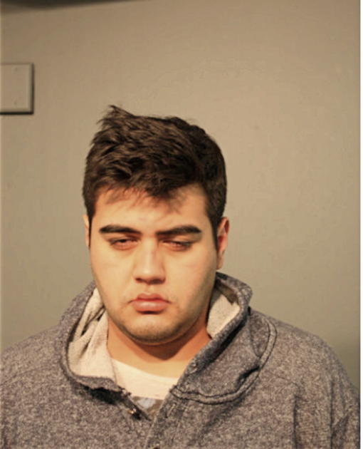 DARIO RODRIGUEZ, Cook County, Illinois