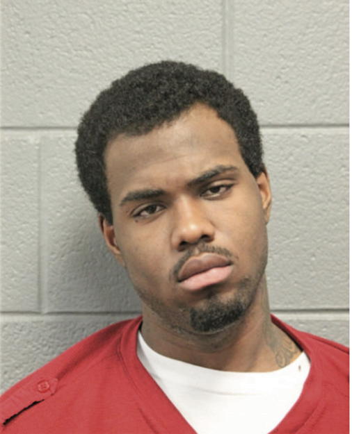 JOSHUA L STOKES, Cook County, Illinois