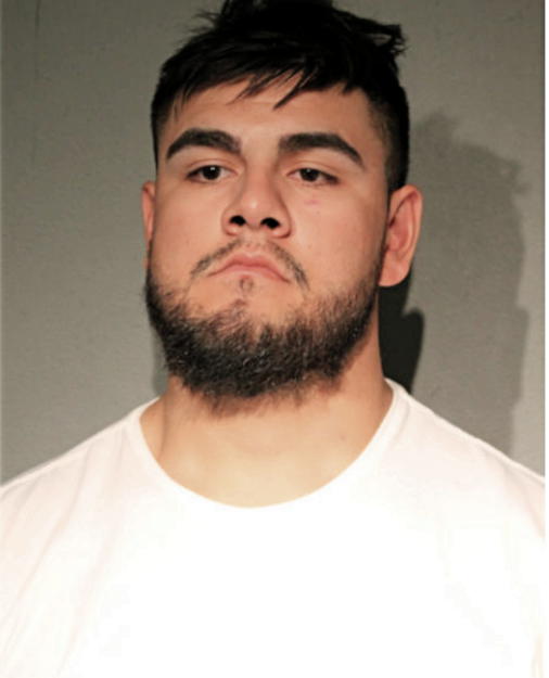 MARIO VALENZUELA, Cook County, Illinois