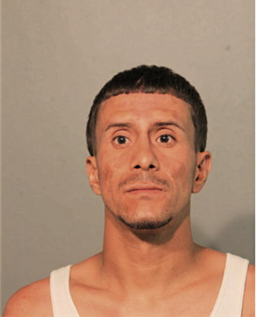 EMANUEL SOLER VARGAS, Cook County, Illinois