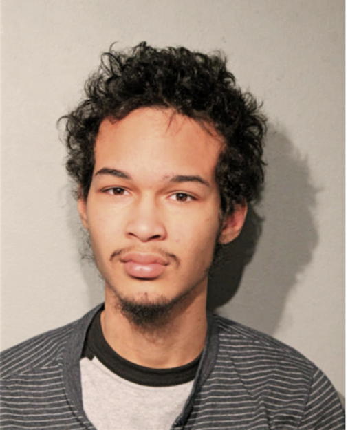 CHRISTOPHER D WHIPPLE, Cook County, Illinois