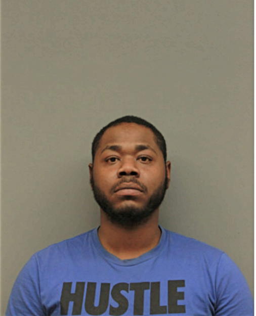 MARK A WILLIAMS, Cook County, Illinois