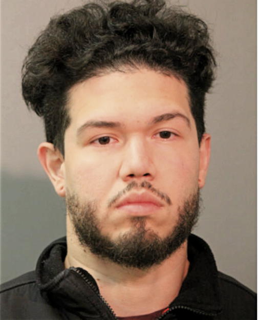 IAN M ZARCO, Cook County, Illinois