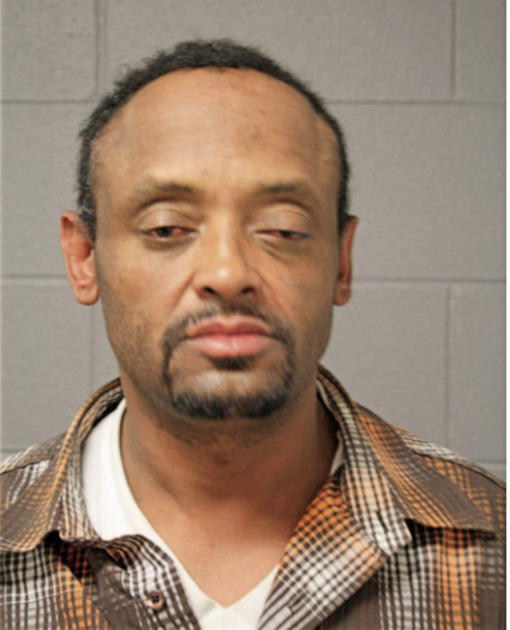 STEVEN A BROWN, Cook County, Illinois