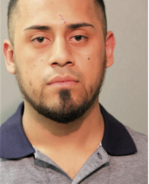 JOSE C CAPI, Cook County, Illinois