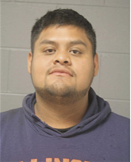 MARCO A FLORES-OCAMPO, Cook County, Illinois