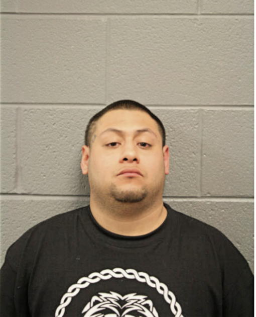 MAX GARCIA, Cook County, Illinois
