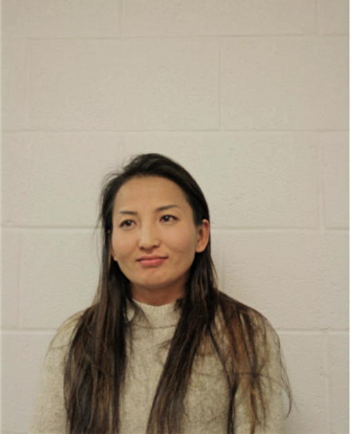DOOGOO GERELMAA, Cook County, Illinois