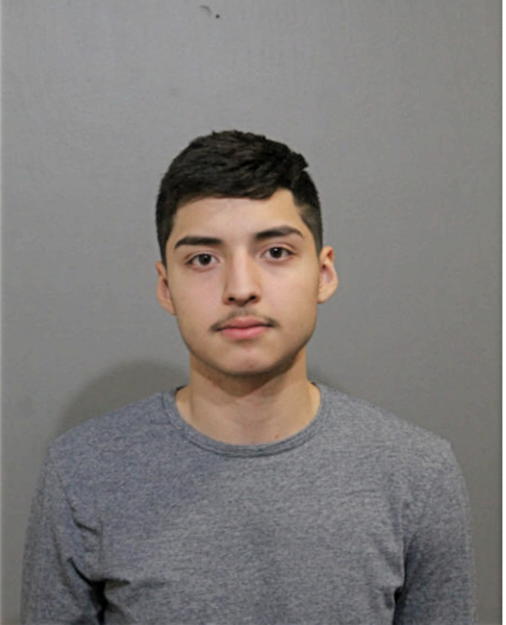 GUILLERMO J GUDINO, Cook County, Illinois