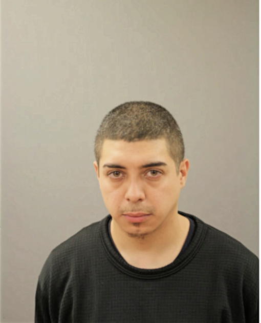 DAVID L HERNANDEZ, Cook County, Illinois