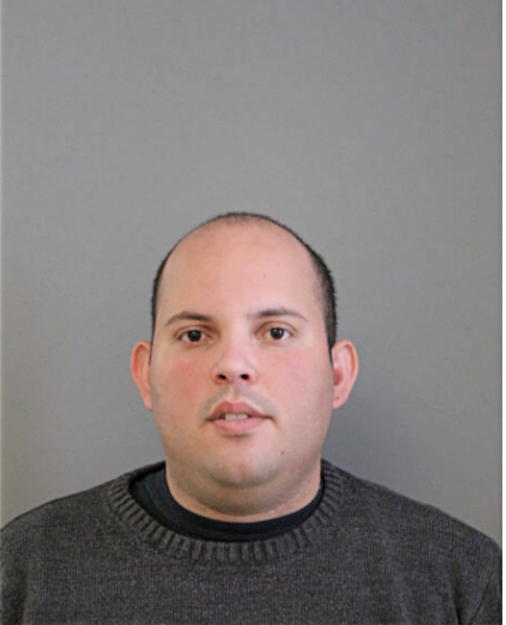 RAUL E PALMA-PEREZ, Cook County, Illinois
