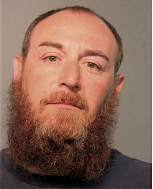 NICK A PARRINELLO, Cook County, Illinois