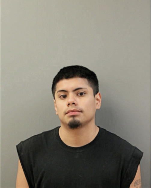 ALEJANDRO PERALTA, Cook County, Illinois