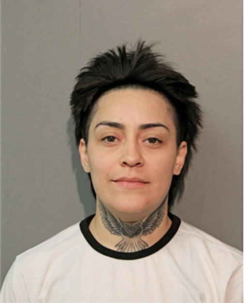 ANNISSA Y SANCHEZ, Cook County, Illinois