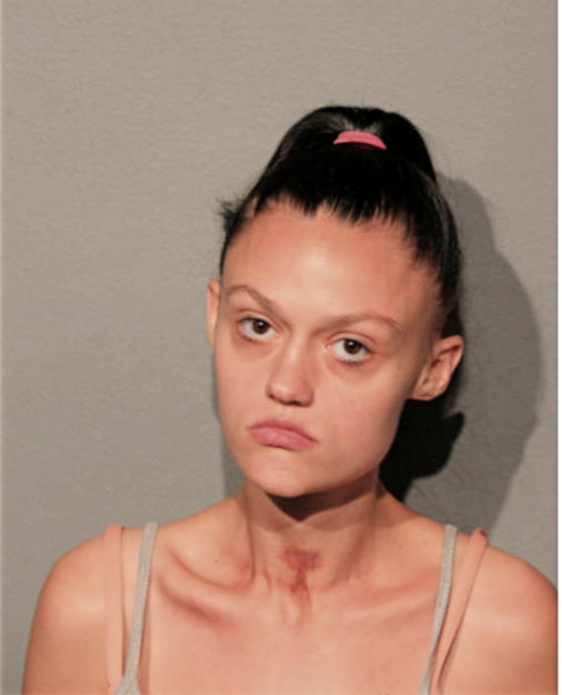 MORGAN T SCHAAF, Cook County, Illinois