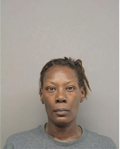 SABRINA N SELVIE, Cook County, Illinois