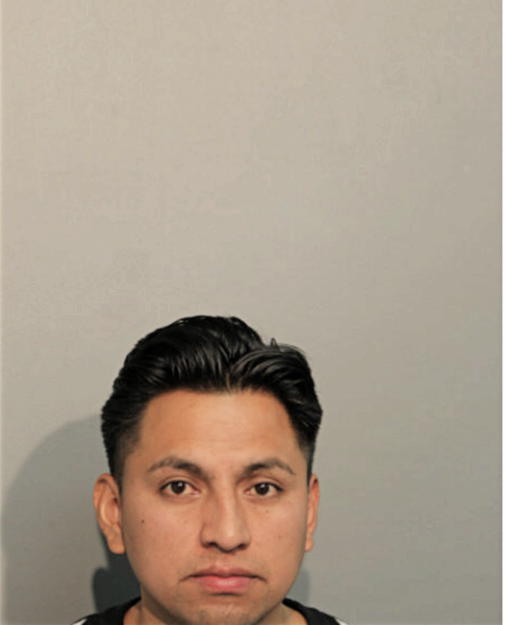 VICTOR N SINCHI, Cook County, Illinois
