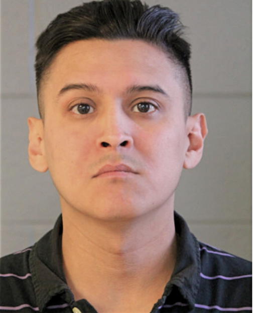 RENE VARGAS, Cook County, Illinois