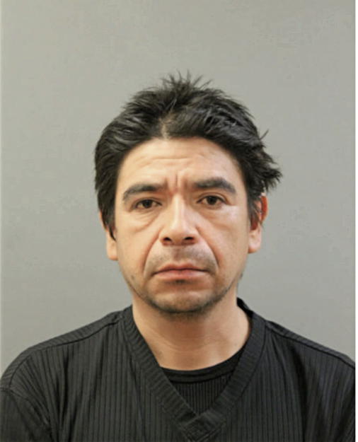 NOE VENIGAS, Cook County, Illinois