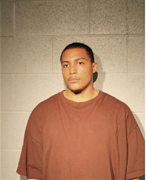 JERRY L BROWN, Cook County, Illinois