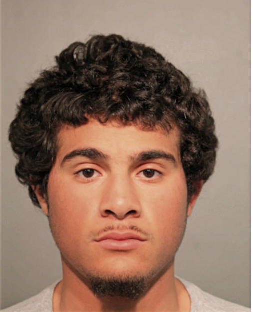 GEORGE CARLO, Cook County, Illinois