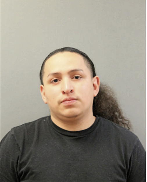 RODRIGO DELGADO, Cook County, Illinois