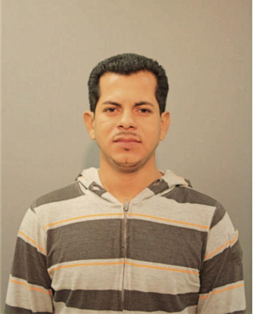 PILAR GONZALEZ, Cook County, Illinois