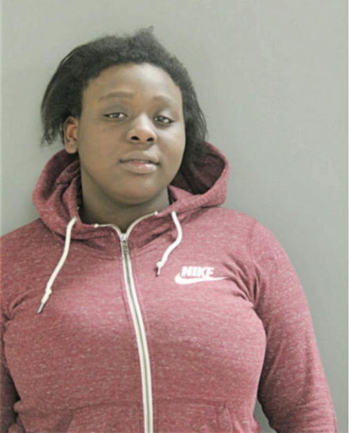 PATRICIA R HUDSON, Cook County, Illinois