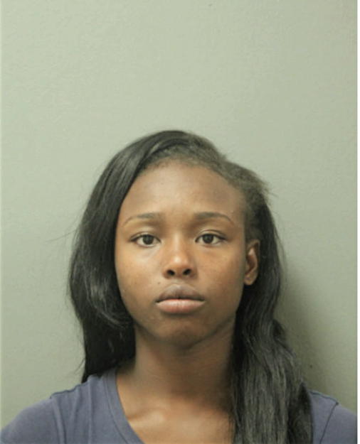 BRIANICA L JOHNSON, Cook County, Illinois
