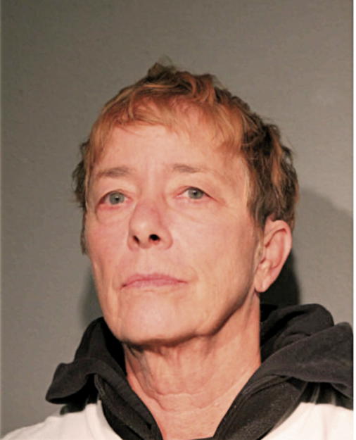 JULIE MARIA LEROY, Cook County, Illinois
