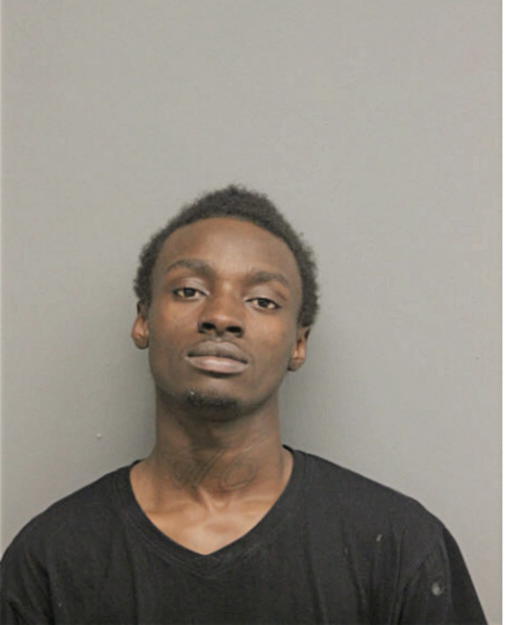GARY L LEWIS, Cook County, Illinois
