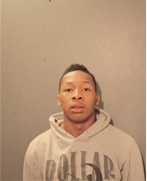 DEMETRIS D LOFTON, Cook County, Illinois