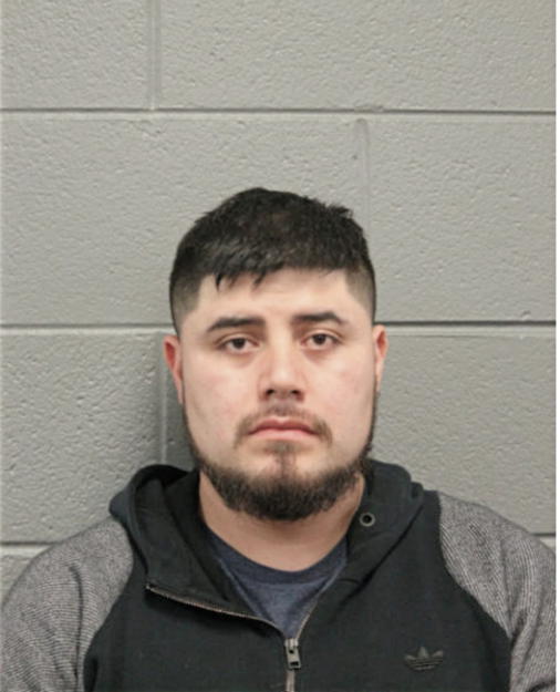 LUIS M LOPEZ, Cook County, Illinois