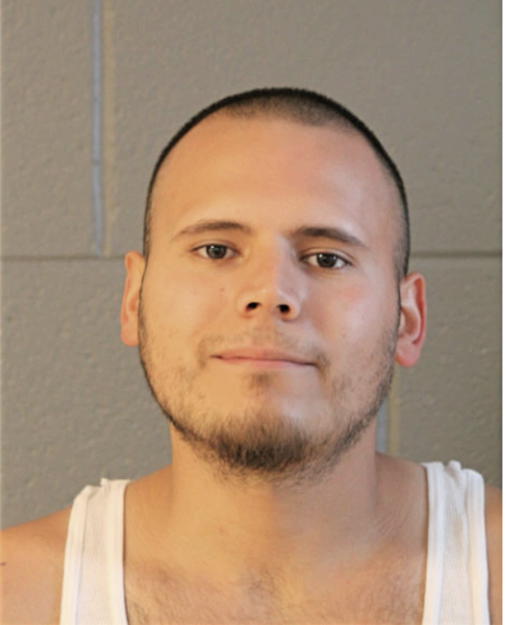 JAIME R LULE, Cook County, Illinois