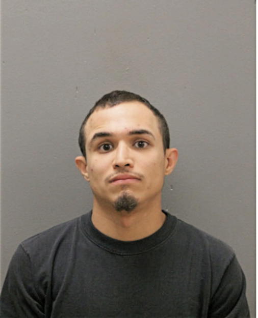 ERICK A OCHOA, Cook County, Illinois