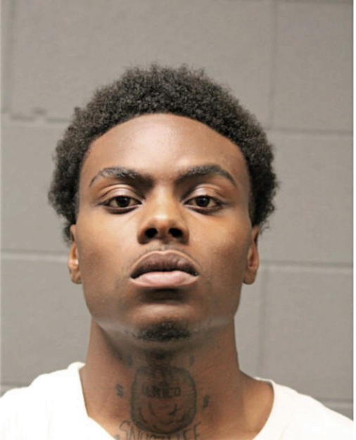 MATTHEW A ROBERTSON, Cook County, Illinois