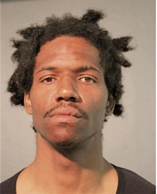 JERRY S ROBINSON, Cook County, Illinois