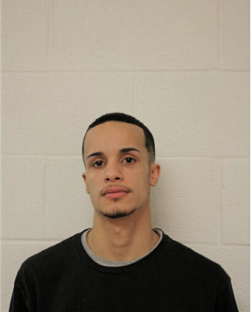 MICHAEL A ROLDAN, Cook County, Illinois
