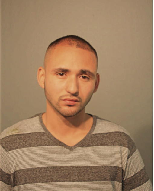 JAMES V SEPULVEDA JR., Cook County, Illinois