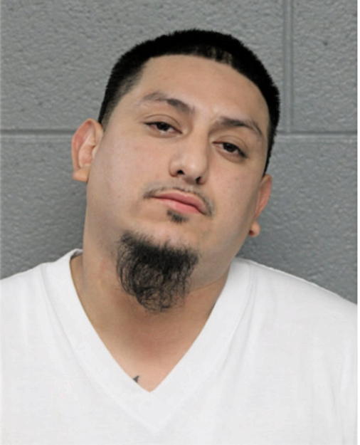JAVIER M TORRES, Cook County, Illinois